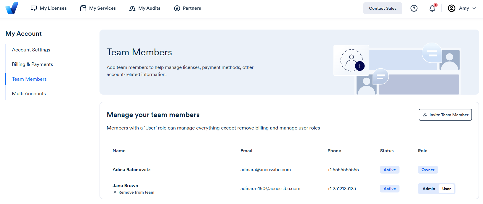 Screenshot of invite team member