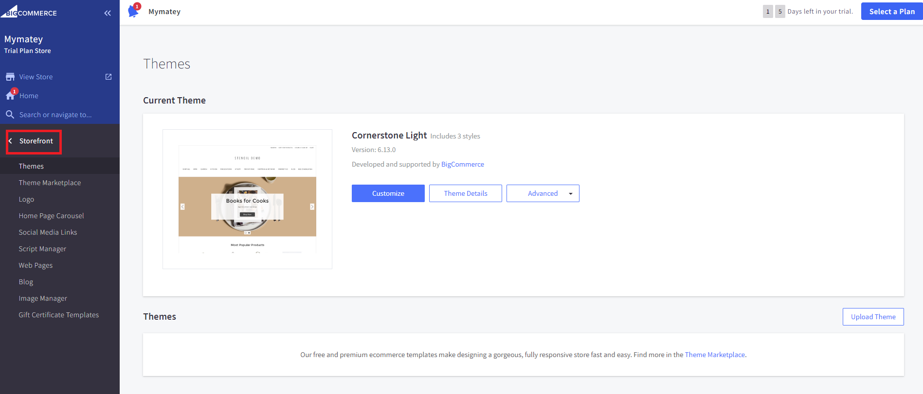 Screenshot of BigCommerce storefront