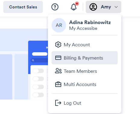 Screenshot of billings and payments menu